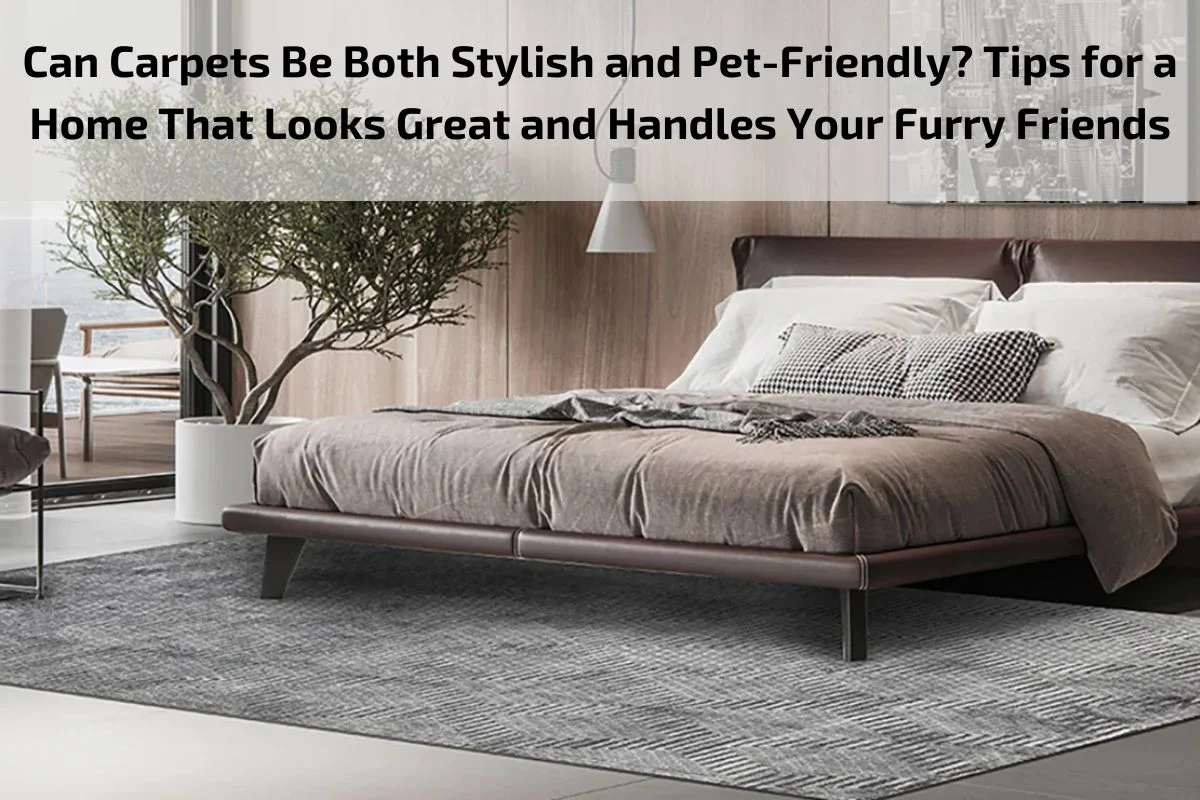 Can Carpets Be Both Stylish and Pet-Friendly? Tips for a Home That Looks Great and Handles Your Furry Friends